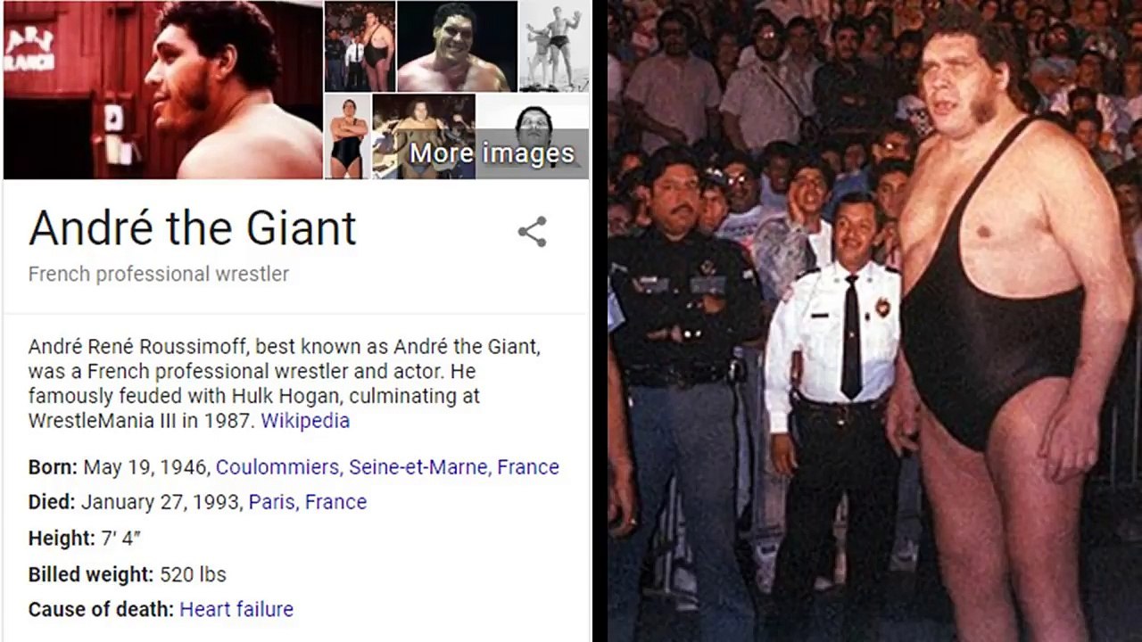 Did Giants Roam the Earth? This is What Ancient Civilizations said about Giants Existing on Earth