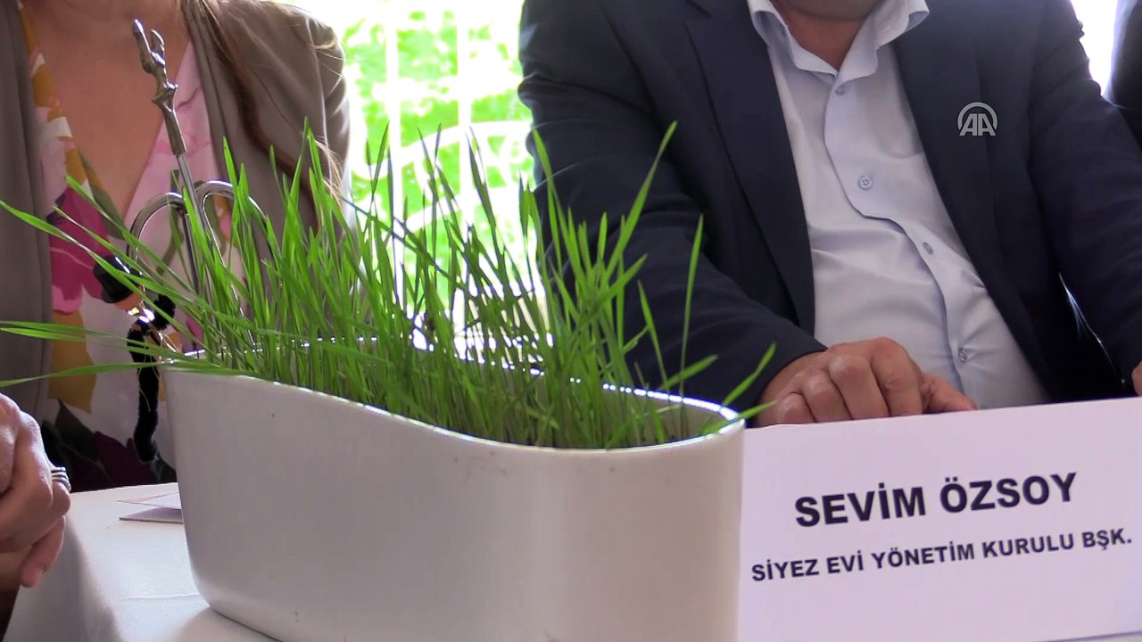 Ekim alanı artan 'Hitit buğdayı'na festival - KASTAMONU