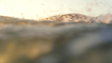 Adrénaline - Surf : Surfrider OFR