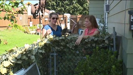 Dog Found Alive Days After House Explosion