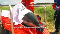 An Inside look at how the IFAW rescues beached dolphins