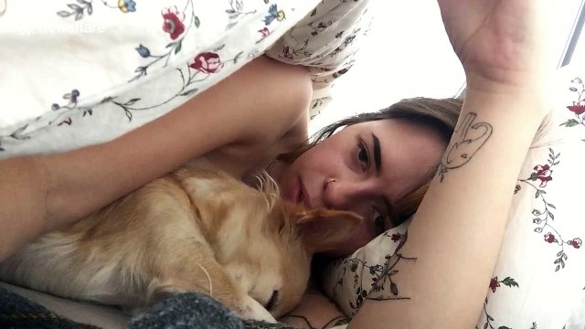 Adorable chihuahua tells owner she loves her