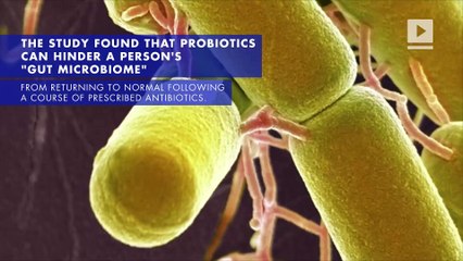 Probiotics May Be Harmful, According to Study