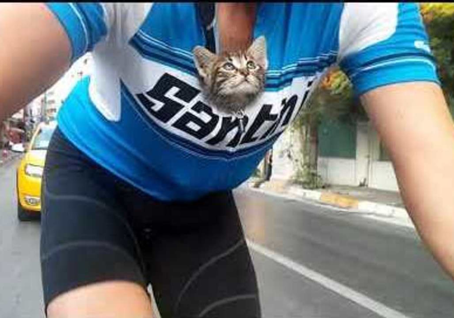 ⁣Caring Cyclist Carries Orphaned Kitten 30 Kilometers