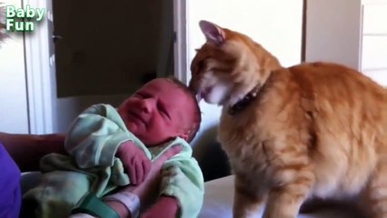 Compilation de chats qui voient un bébé pour la première fois