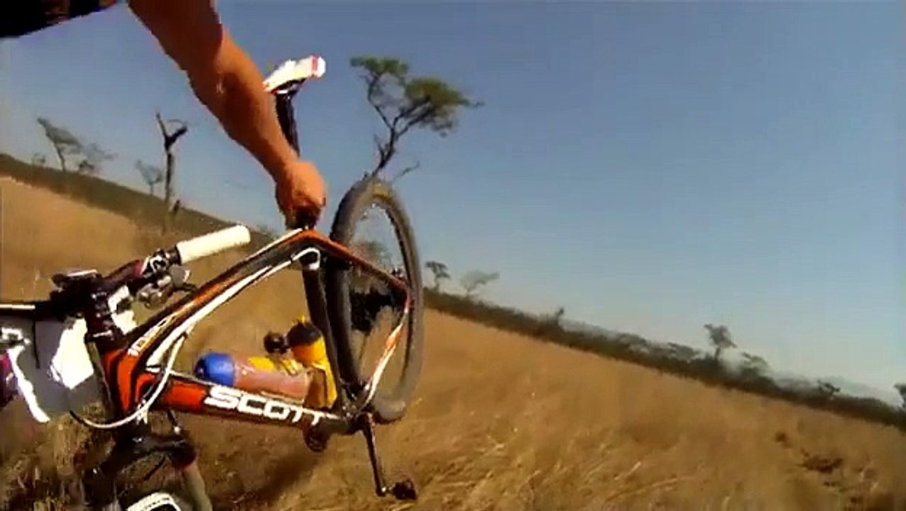 Antilope percute un cycliste !