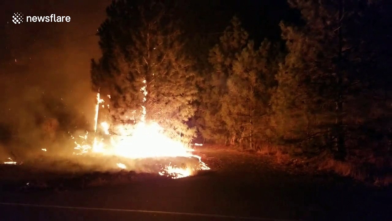 Delta fire scorches more than 15,000 acres in Shasta County