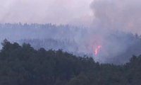Kebakaran Hutan Gunung Lawu Meluas