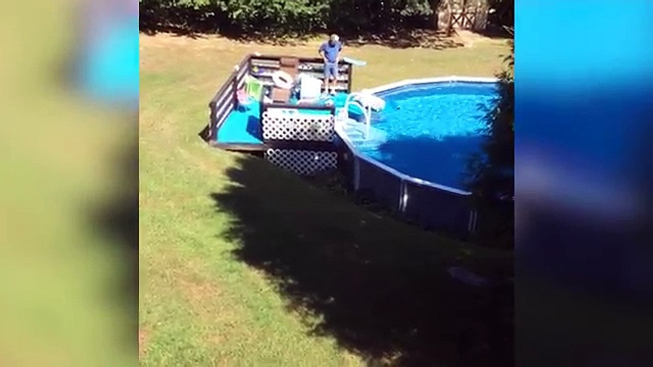 Small Pets with Big Attitudes! Ultimate Cute Baby Animals Compilation April 2018 | Funny Pet Videos