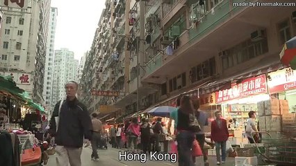 Peanut The Trucker Cat