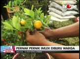 Jelang Imlek, Pernak-pernik Imlek Diburu Warga