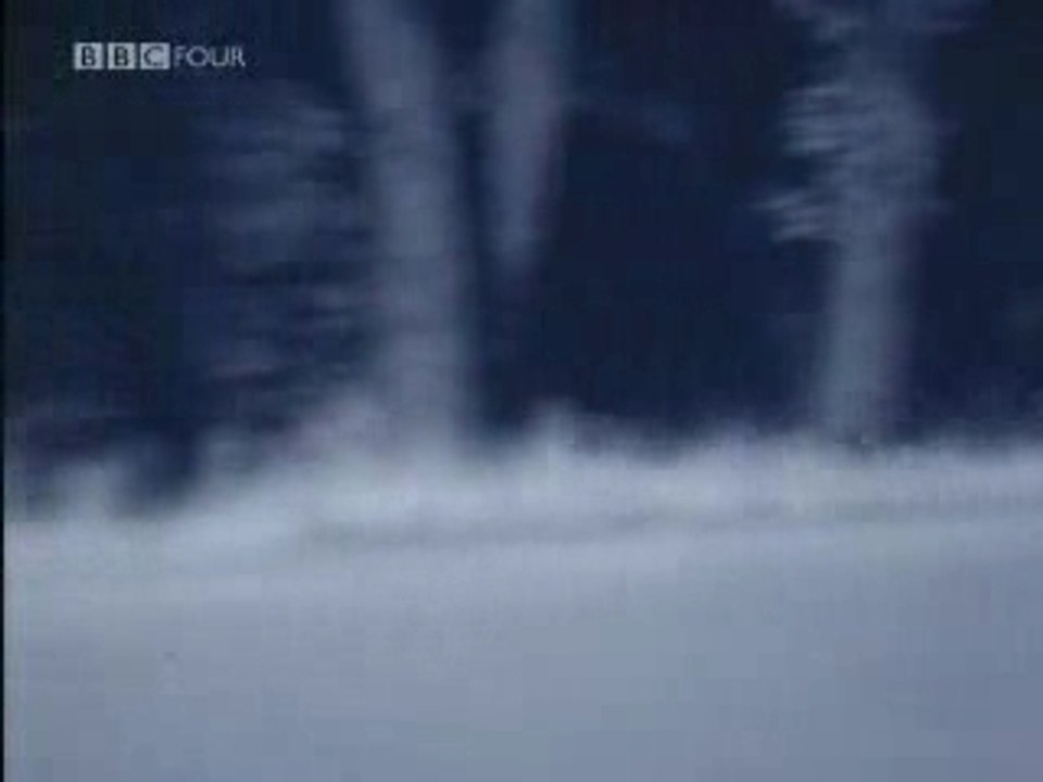 Openflv.com