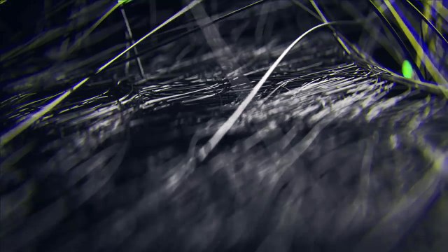 Mamba Wireless : présentation de la nouvelle souris sans-fil de Razer