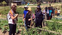 Did you know that strawberries from the #USA are now being grown here in #TimorLeste? #AmbFitzpatrick talks about this and more from her recent visit to Ainaro