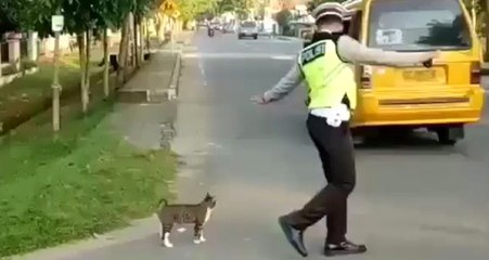 Trafik Polisi, Kediye Yolun Karşısına Geçmesi İçin Yardım Etti, O Anlar İzleyenleri Gülümsetti