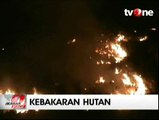 Belasan Hektar Hutan Lindung di Sumatera Utara Terbakar