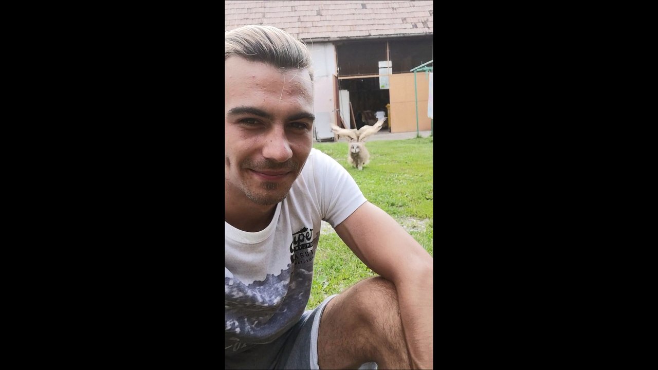 Ce bébé hibou qui court vers son maître est la chose la plus mignonne que vous verrez aujourd'hui