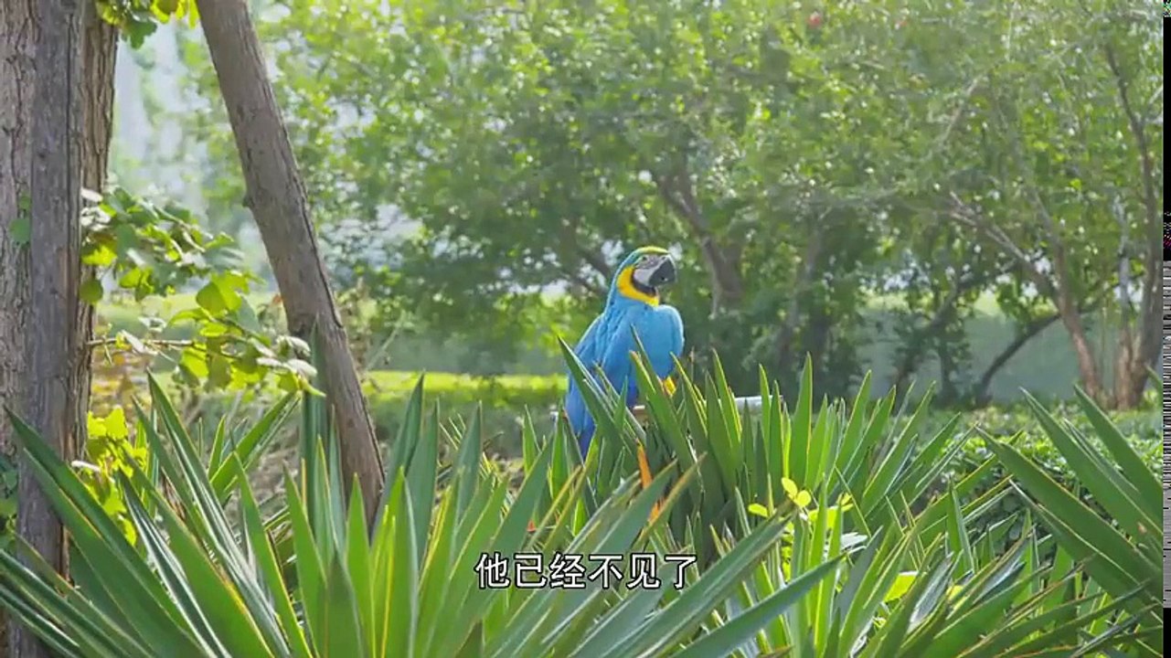 萌族酷狗偵探04
