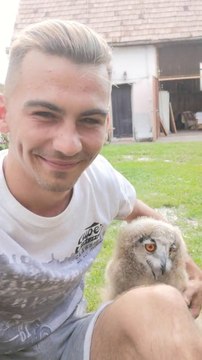 Un bébé hibou court vers son maitre et c'est adorable