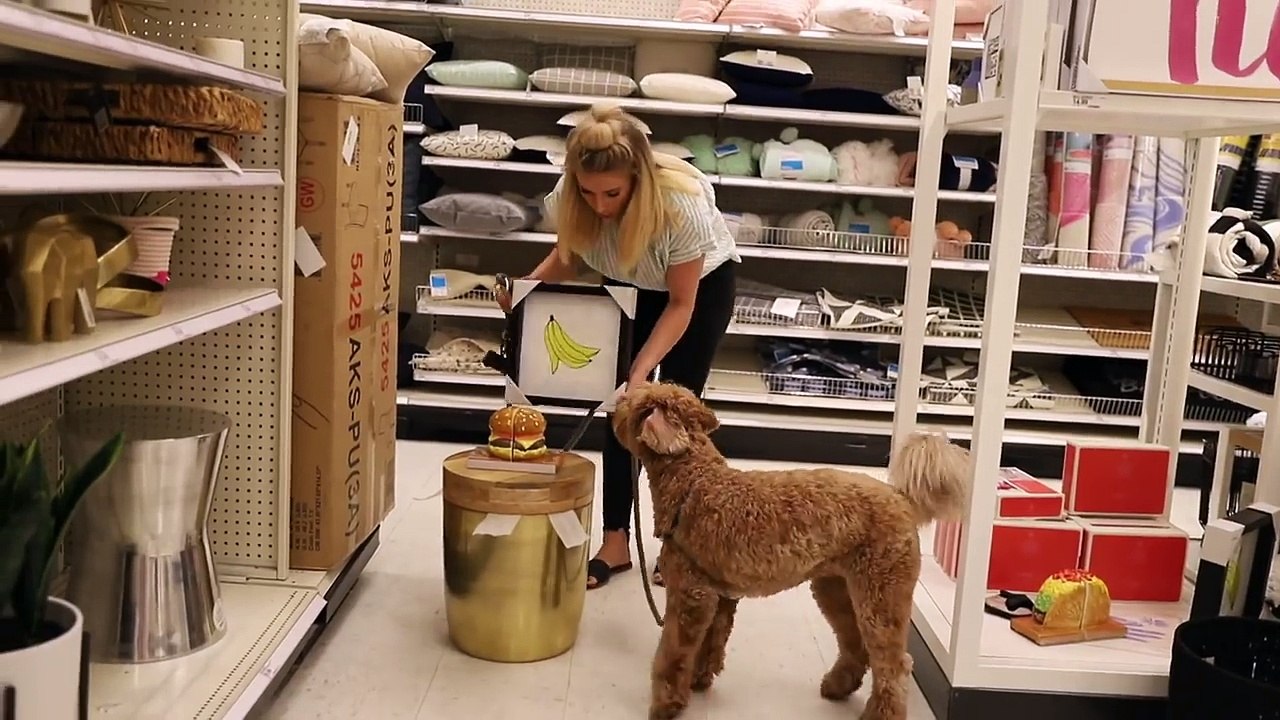 Decorating Tips For Apartment Rentals   ONE Room TWO Styles