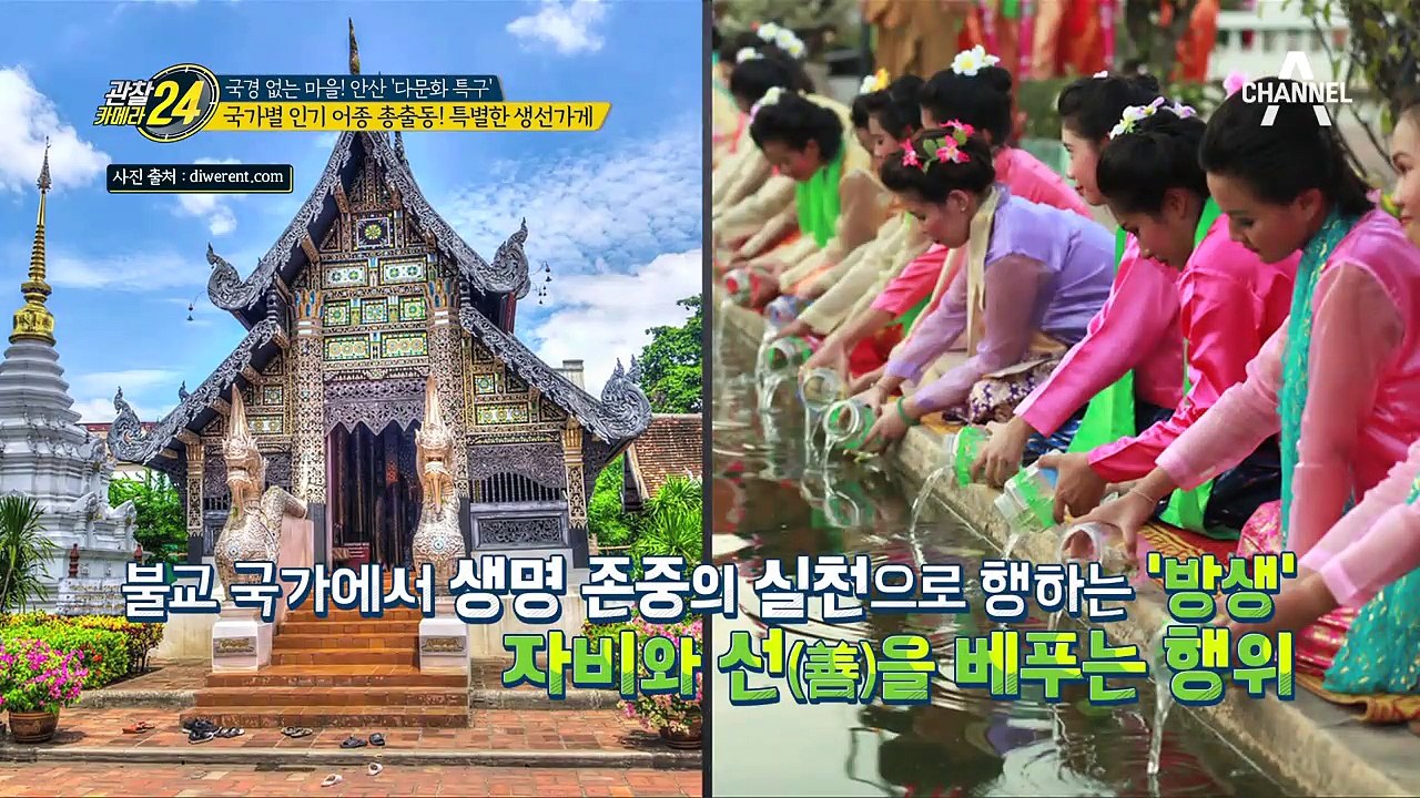 생선 가게에서 물고기 사서 방생하는 이유는?