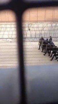 Un détenu filme l'intervention des surveillants dans une prison française avec son téléphone portable.