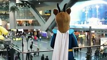 One mascot from the Oryx Kids Club, a trolley of gifts, Hamad International Airport, and travelling passengers. We surprised a few young travellers en route to