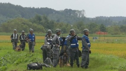 Ascienden a 18 los muertos por el terremoto en el norte de Japón
