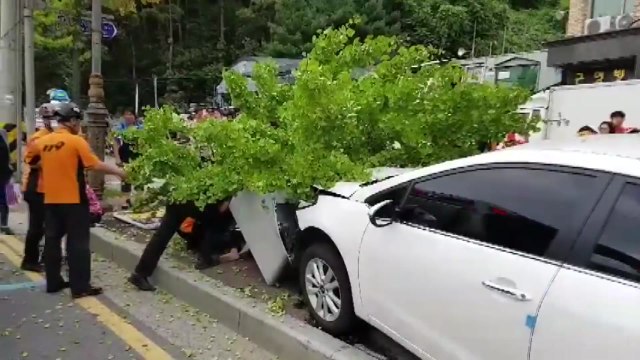 대전서 승용차가 버스정류장 돌진...7명 중·경상 / YTN