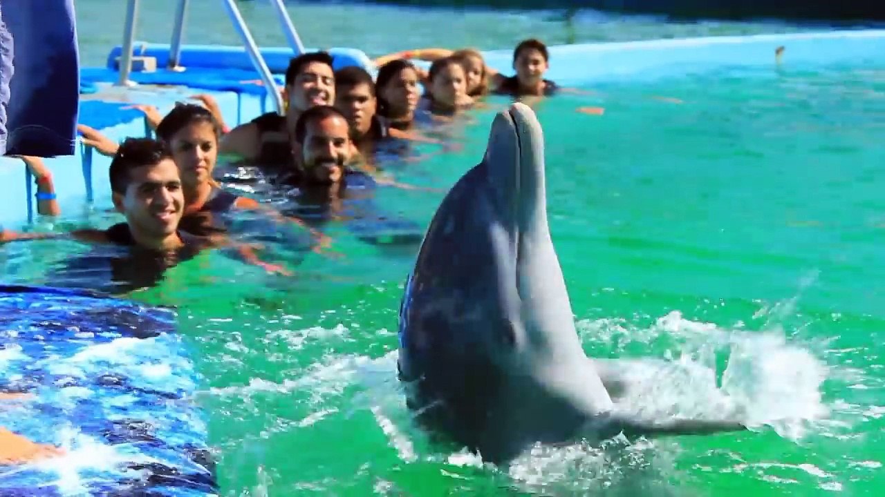 Conoce las hermosas playas de la Isla de Margarita