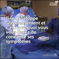 On l'appelle la maladie silencieuse : le cancer de l'estomac est une maladie grave mais, si elle est détectée à temps, il est possible de la soigner. Nous vous expliquons ses symptômes les plus fréquents.