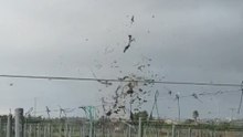 Waterspout Makes Land, Whips Branches and Cloth Into Air in Eastern Spain