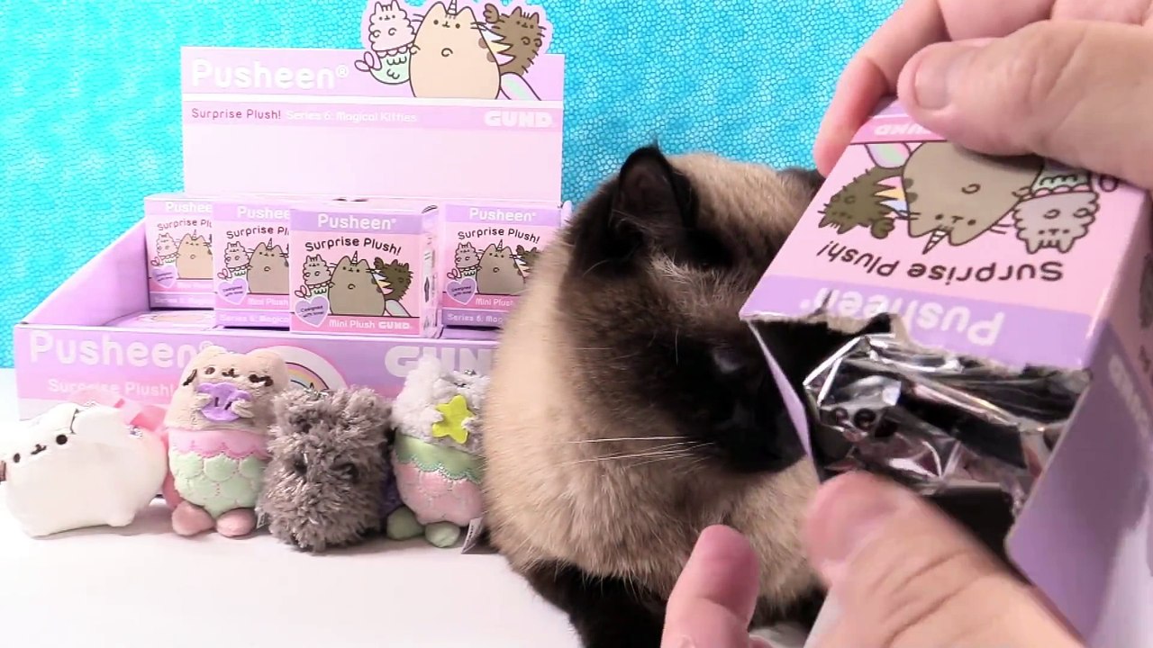 Pusheen Series 6 Magical Kitties Blind Box Surprise Plush _ PSToyReviews
