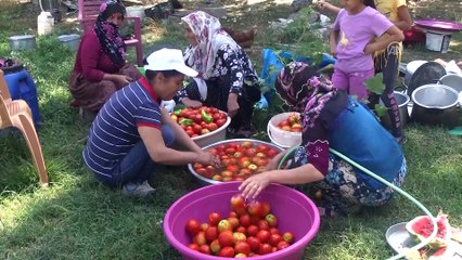 Devlet desteğiyle çiftçilik yapıp evini geçindiriyor - MUŞ