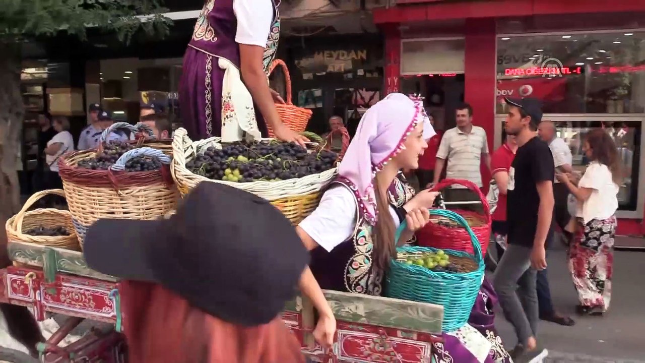 '10. Kırklareli Yayla, Bolluk, Bereket, Hasat ve Bağ Bozumu Şenlikleri'