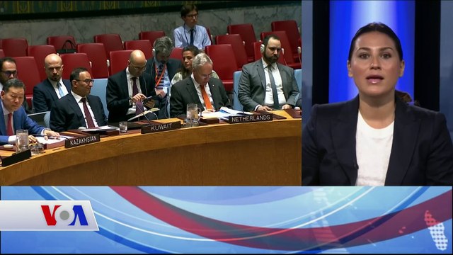 BM Güvenlik Konseyi İdlib Harekatı Konusunda Kaygılı