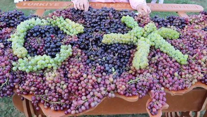 4. Trakya Bağ Bozumu ve Ekoloji Festivali - TEKİRDAĞ