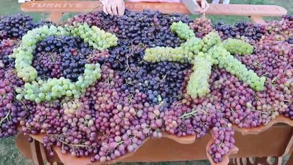 4. Trakya Bağ Bozumu ve Ekoloji Festivali