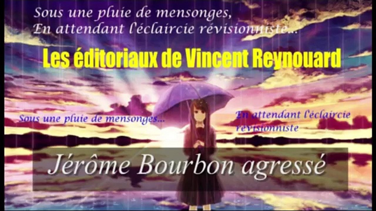 Agression de Bourbon : analyse
