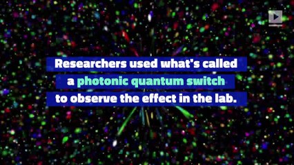 Physicists Solve 'Which Came First the Chicken or the Egg' Riddle