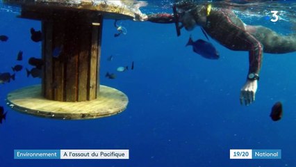Environnement : Benoît Lecomte à l'assaut du Pacifique à la nage
