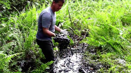 Anulan condena a Chevron por daño ambiental en Ecuador