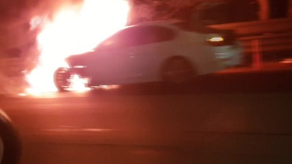 안전 진단 받은 BMW 차량에서 또 불 / YTN