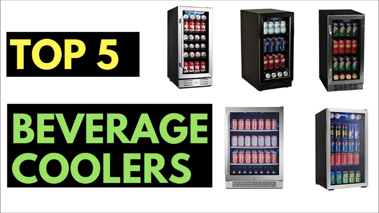 Best Beverage Refrigerators
