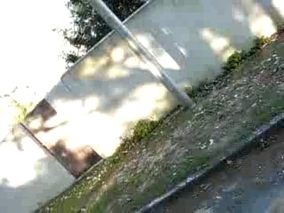 DSCN0037