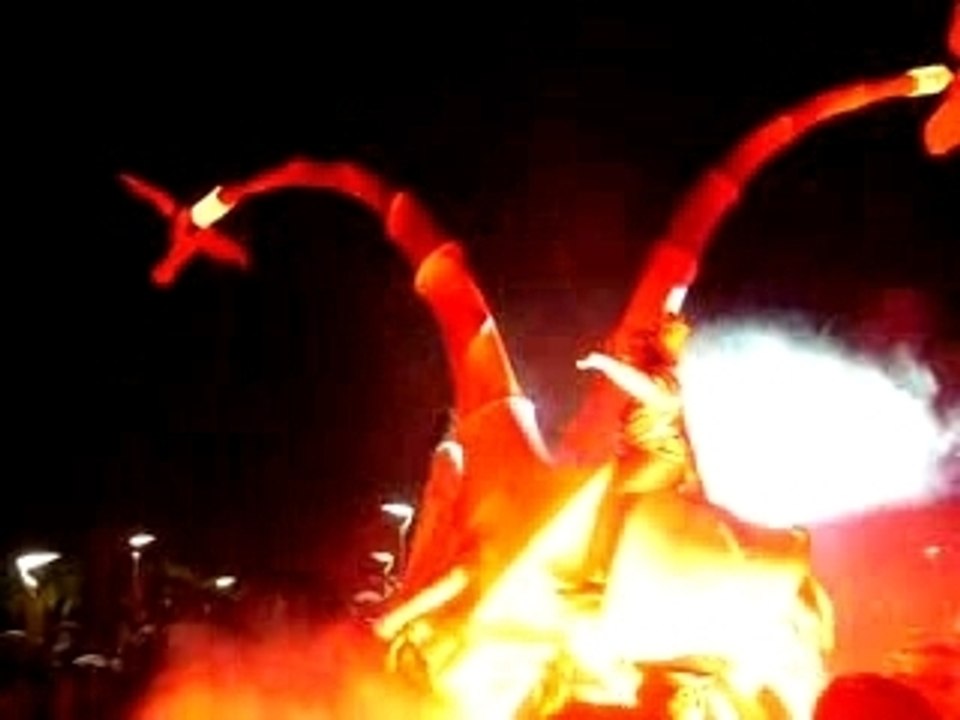 Fête de la lumière 2007