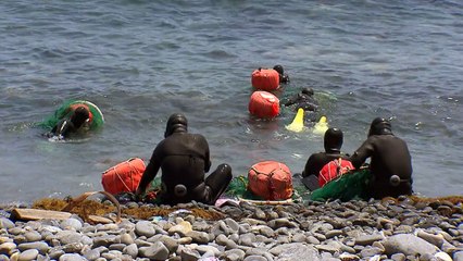 가짜 해녀에 뒷돈까지...어촌마을 '발칵' / YTN