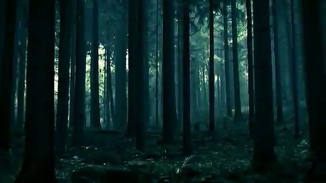 Live Stream New Zealand vs. Argentina Live streaming Rugby 2018