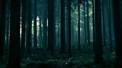 "Live Stream"New Zealand vs. Argentina Live streaming Rugby 2018