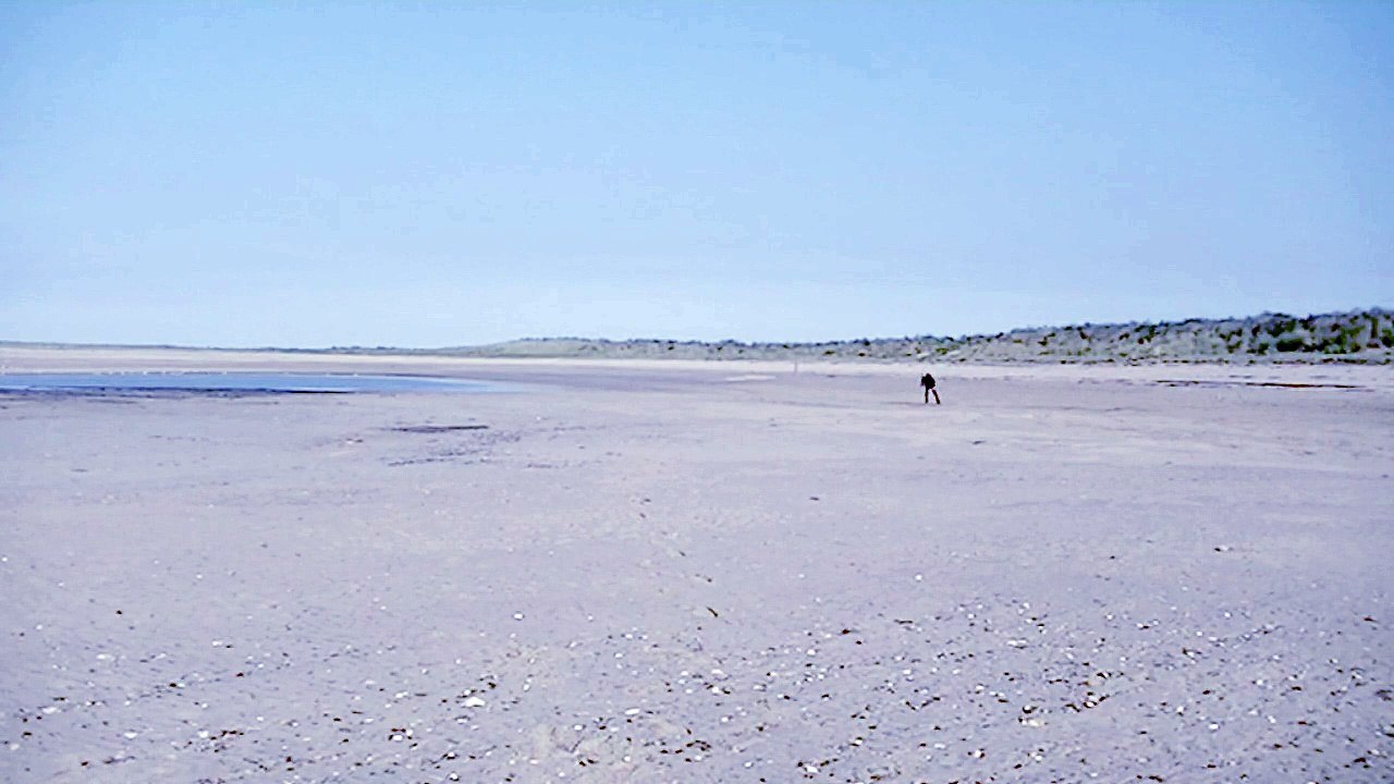 performance artistique...